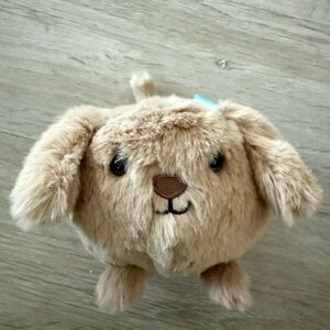 NWT Jellycat | Caboodle Puppy